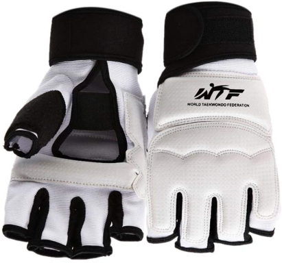 Handschuhe - 25,00 €